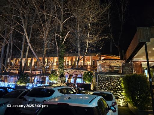 عکس شاندیز صفدری