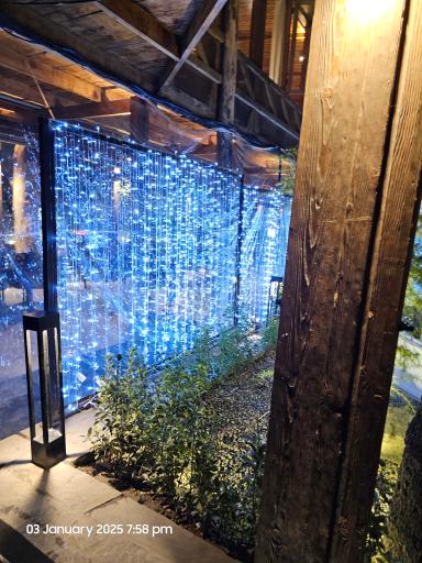 عکس شاندیز صفدری