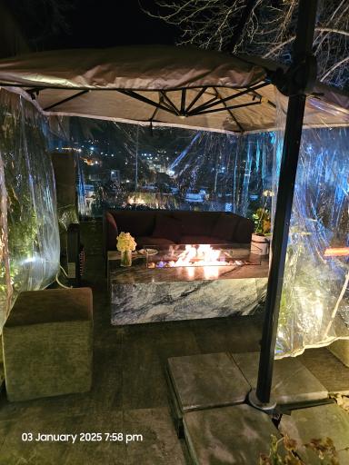 عکس شاندیز صفدری