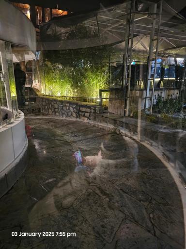 عکس شاندیز صفدری