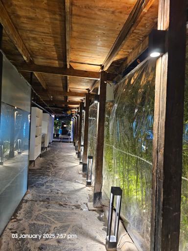 عکس شاندیز صفدری