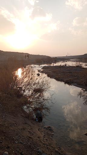 بوستان جنگلی غدیر