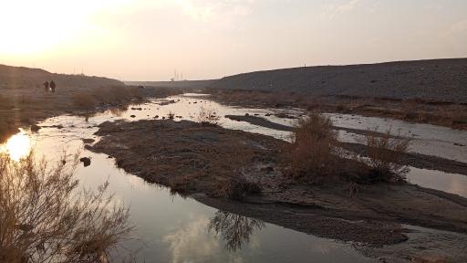 بوستان جنگلی غدیر