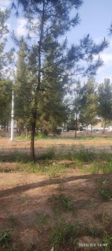 عکس بوستان جنگلی غدیر