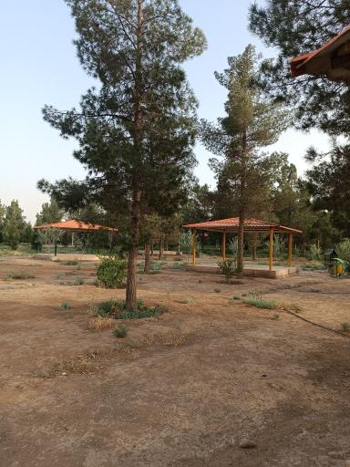 عکس بوستان جنگلی غدیر