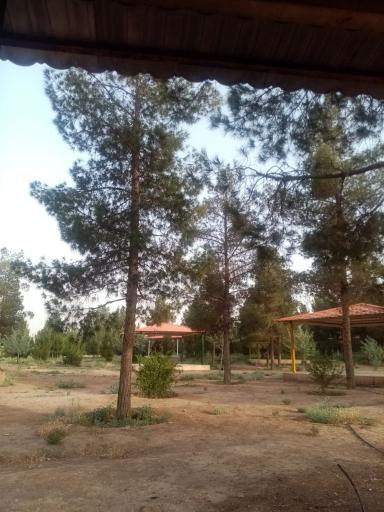 عکس بوستان جنگلی غدیر