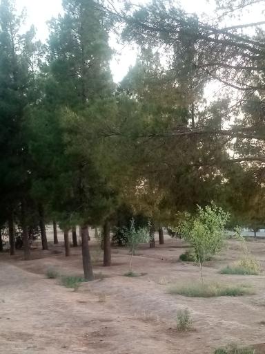 عکس بوستان جنگلی غدیر