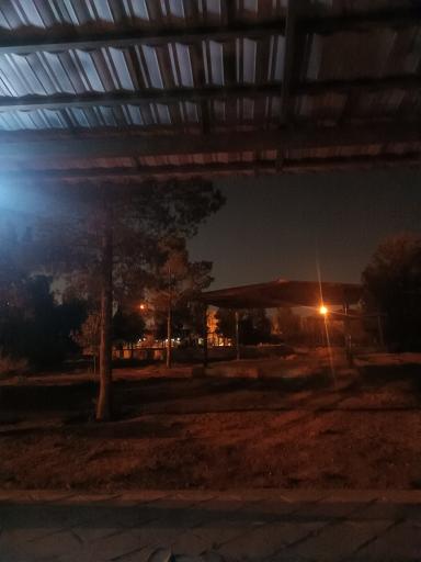 عکس بوستان جنگلی غدیر