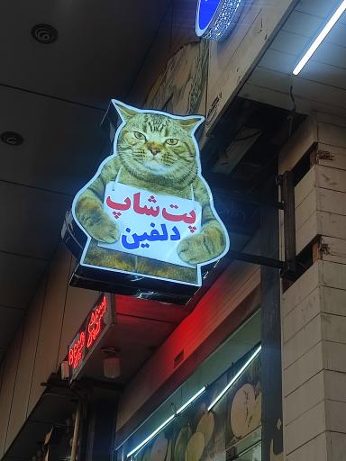 عکس پت شاپ دلفین