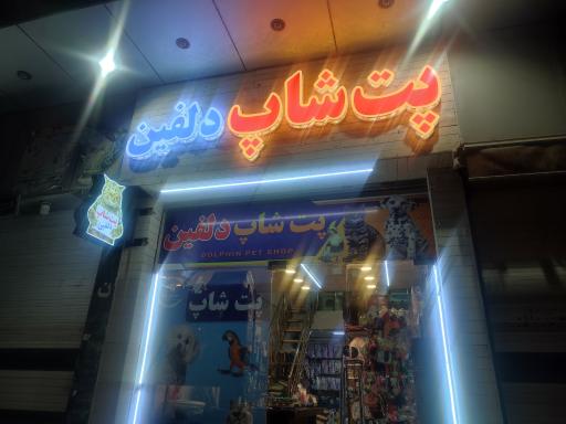 عکس پت شاپ دلفین