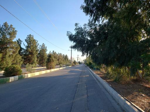 عکس بوستان جنگلی غدیر