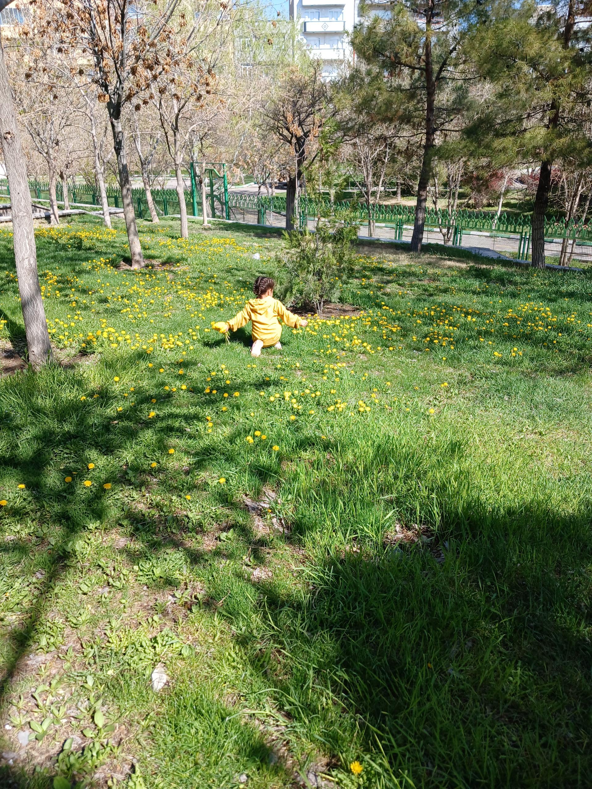 عکس بوستان ائلی سو پیاده یولی