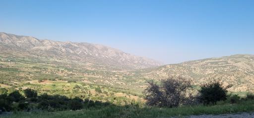 عکس کهکران