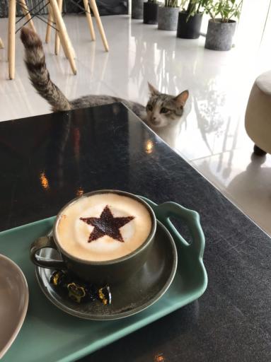 عکس کافه ستاره 
