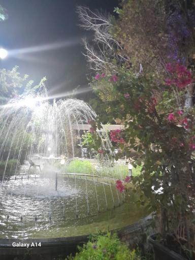 عکس کافه رستوران لمکده