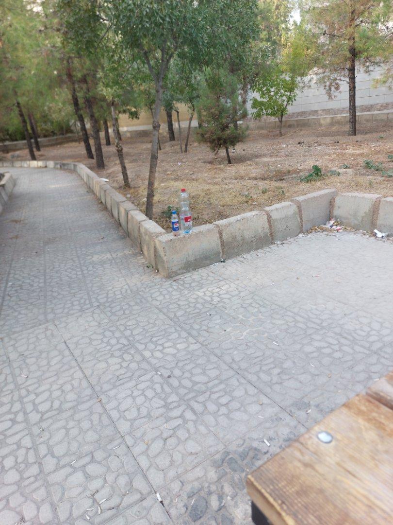 عکس بوستان