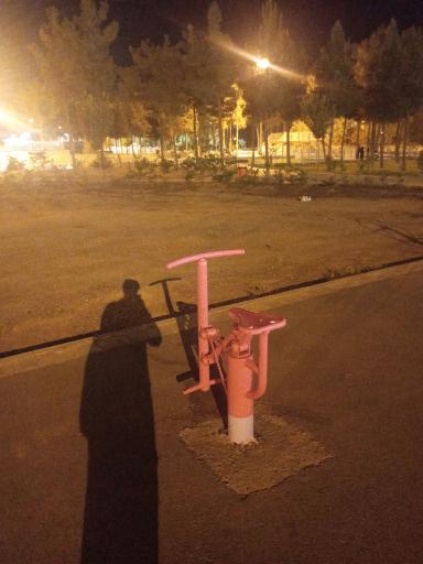 عکس وسایل ورزش همگانی پارک جنگلی