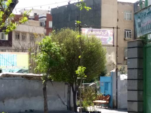 عکس گل و گیاه دهقانی