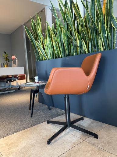 عکس مبلمان اداری ساویس-جلیس شعبه جردن