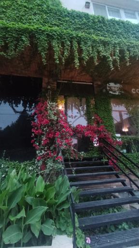 عکس هتل هالیدی پارک