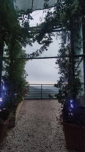 عکس هتل هالیدی پارک