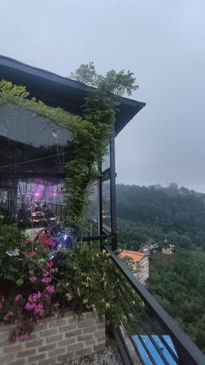 عکس هتل هالیدی پارک