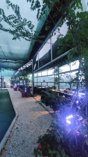 عکس هتل هالیدی پارک