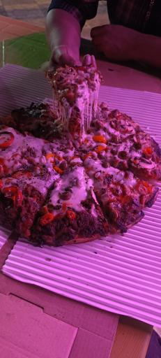 عکس فست فود کاکتوس