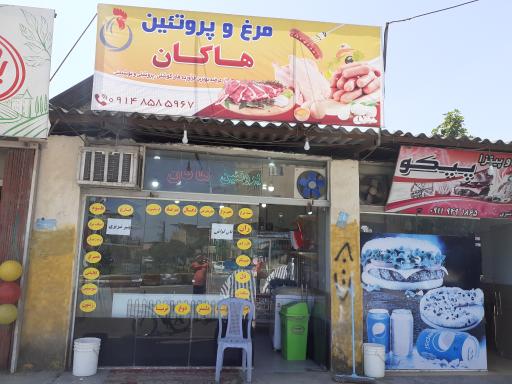 عکس مرغ و پروتئین هاکان