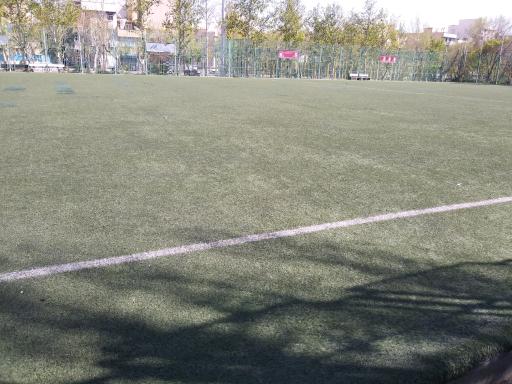 عکس زمین فوتبال چمن