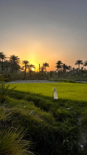 عکس قصرقند