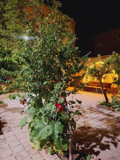 عکس اقامتگاه بومگردی گنجعلی 