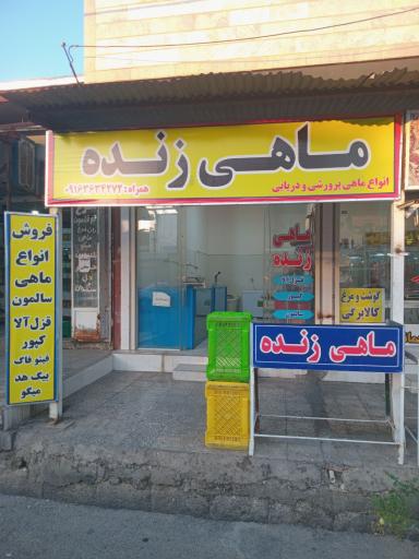 عکس ماهی فروشی نصیری