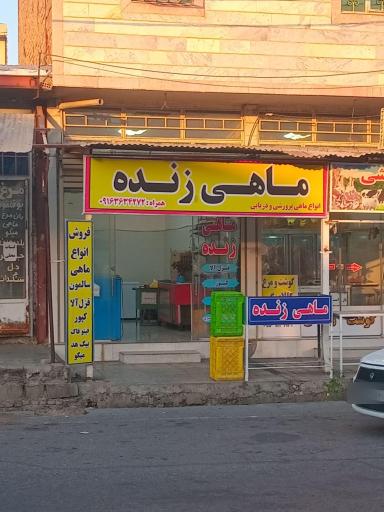 عکس ماهی فروشی نصیری