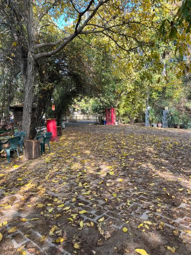 عکس باشگاه سوارکاری سیاه پوش