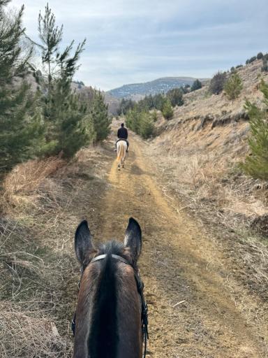 عکس باشگاه سوارکاری سیاه پوش