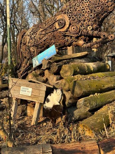 عکس باشگاه سوارکاری سیاه پوش