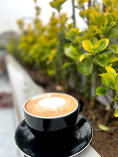 عکس کافه مون لانژ