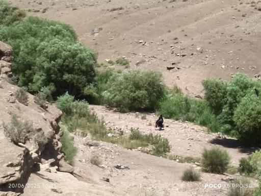 عکس تنگه قاهان