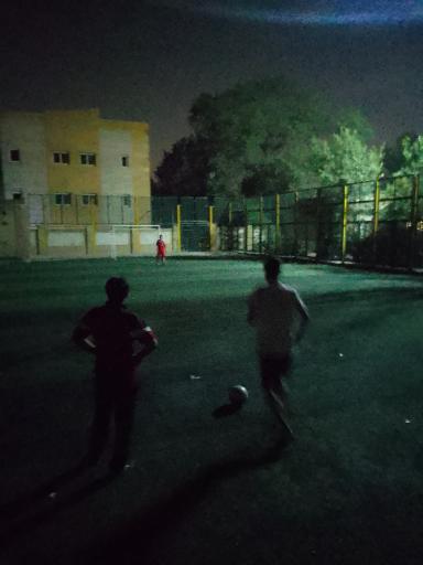 عکس فنس شیر و خورشید آرنا