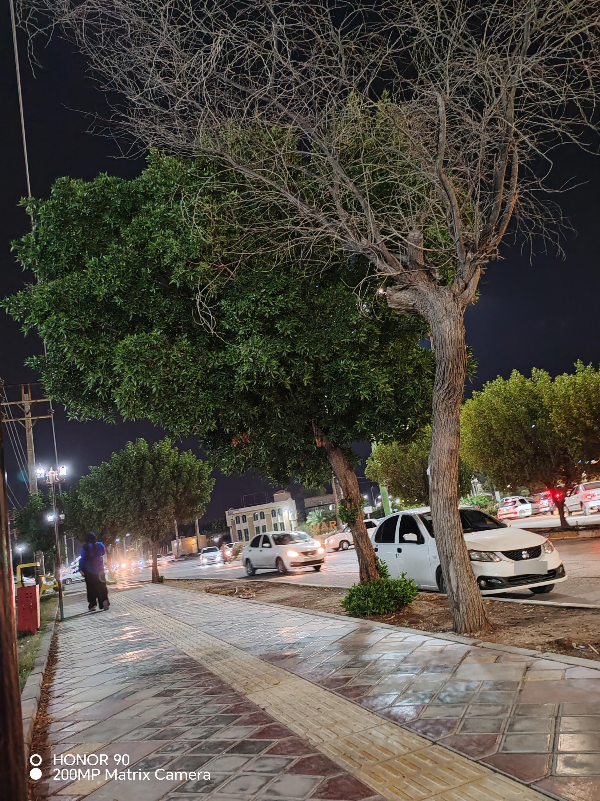 عکس پارک خطی