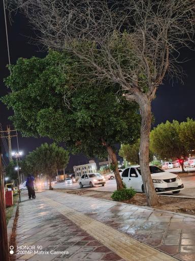 عکس پارک خطی