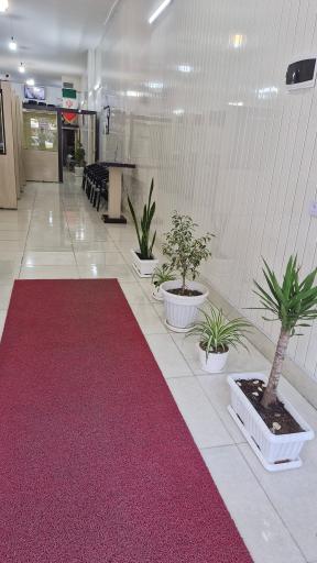 عکس موسسه حقوقی ماه توس 