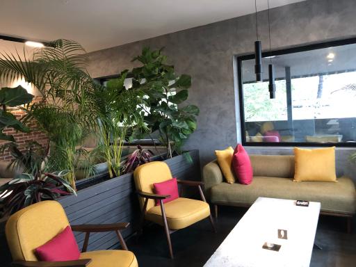 عکس کافه رستوران تین