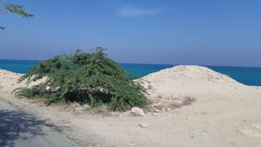 عکس بندر حریره