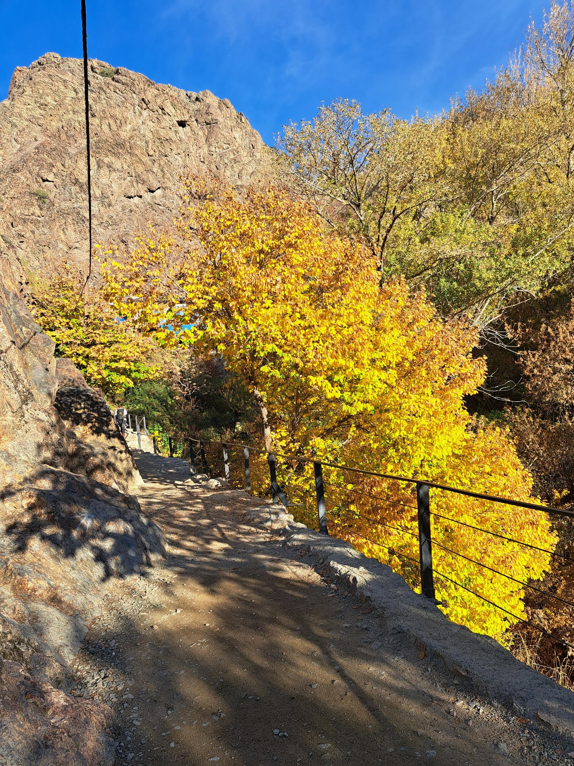 عکس رستوران راندوو