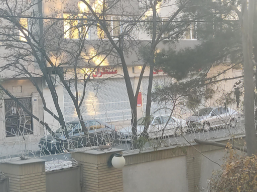 عکس گوشت و پروتئین منتظران