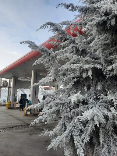 عکس پمپ گاز CNG قائم (عج)