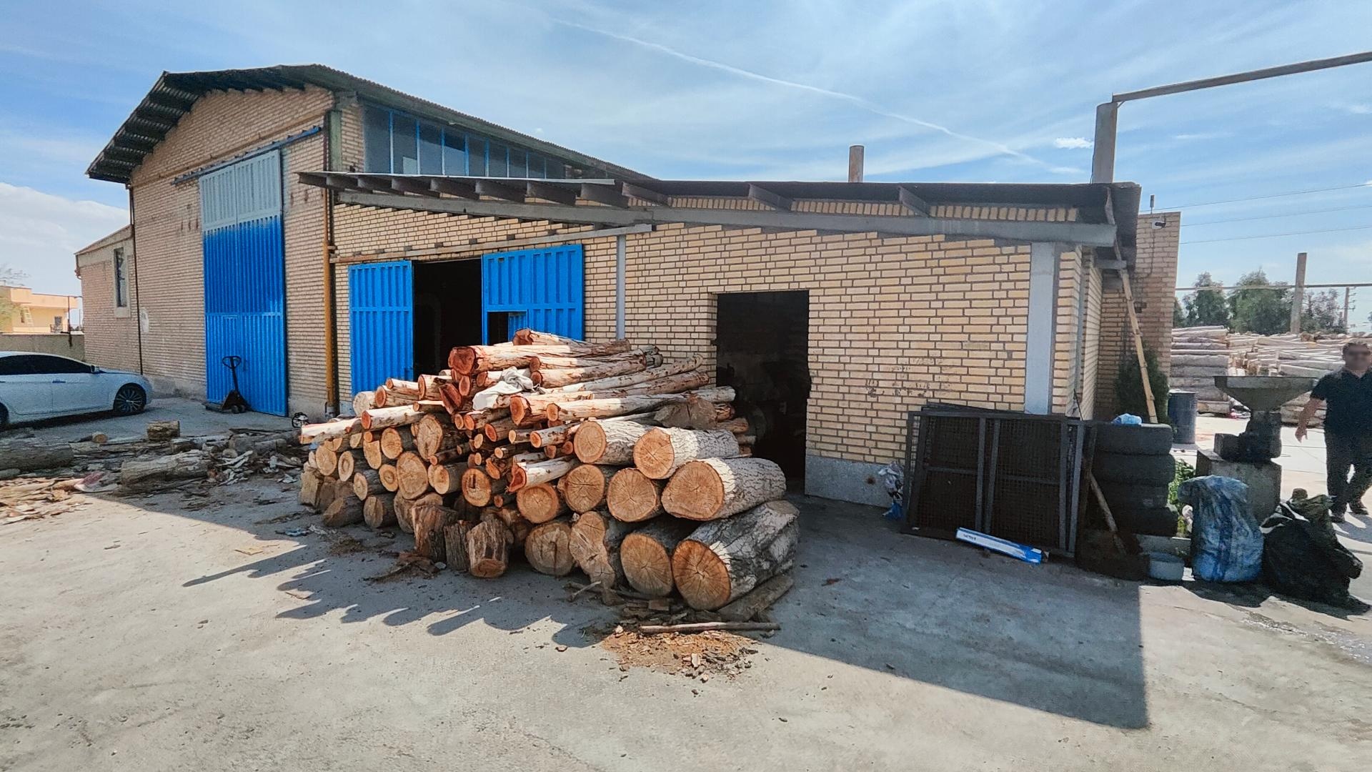 عکس کارخانه توسکا چوب هامون ایرانیان