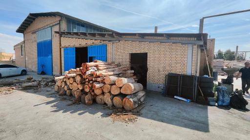 عکس کارخانه توسکا چوب هامون ایرانیان